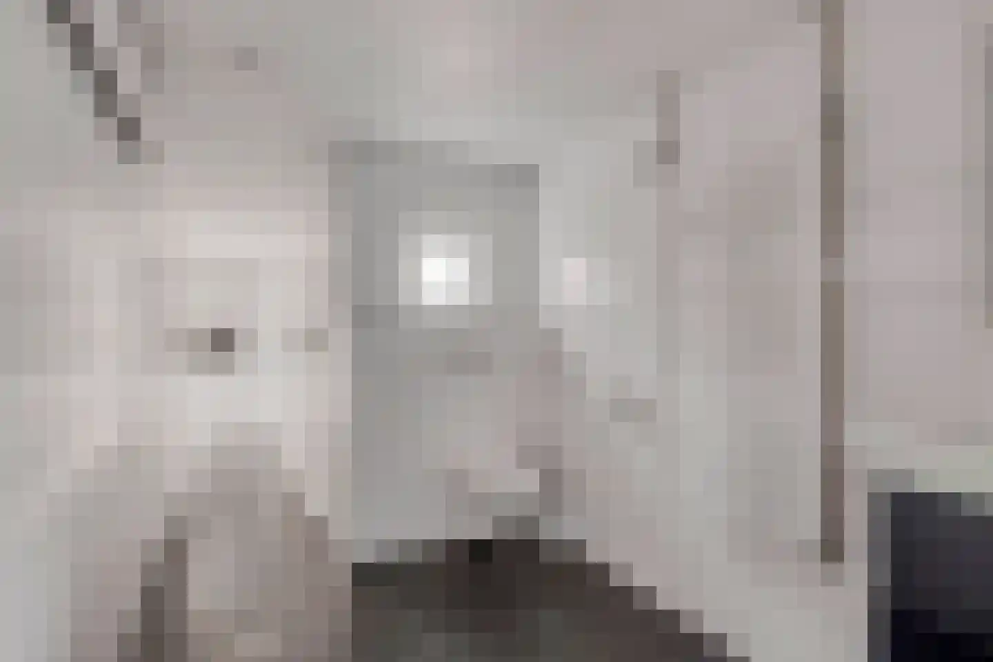 Verlengde van Echtenskanaal NZ 68 Zwartemeer thumbnail 17