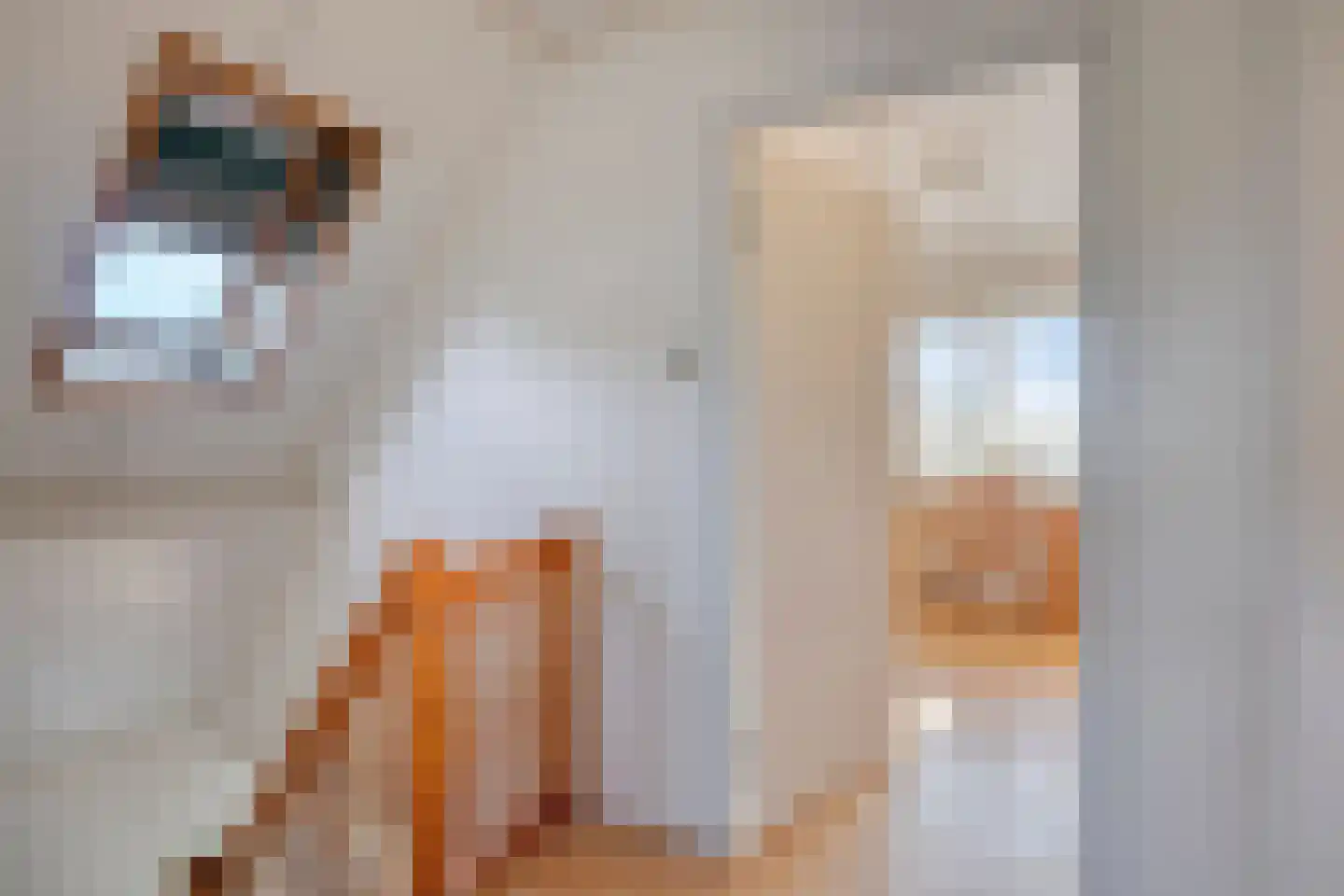 Verlengde van Echtenskanaal NZ 68 Zwartemeer thumbnail 23