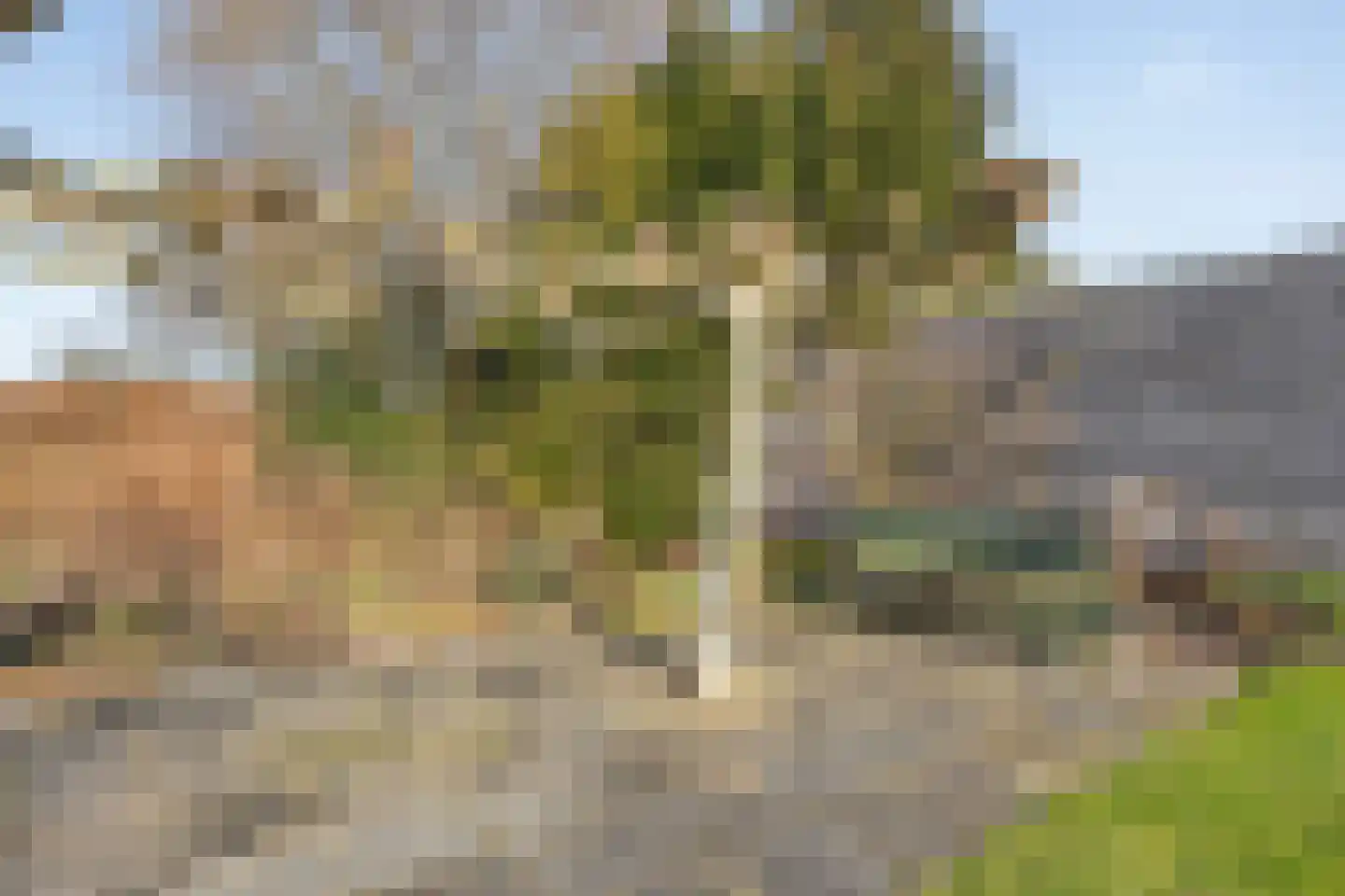 Verlengde van Echtenskanaal NZ 68 Zwartemeer thumbnail 30
