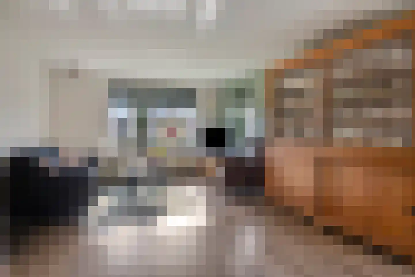 Verlengde van Echtenskanaal NZ 68 Zwartemeer thumbnail 4