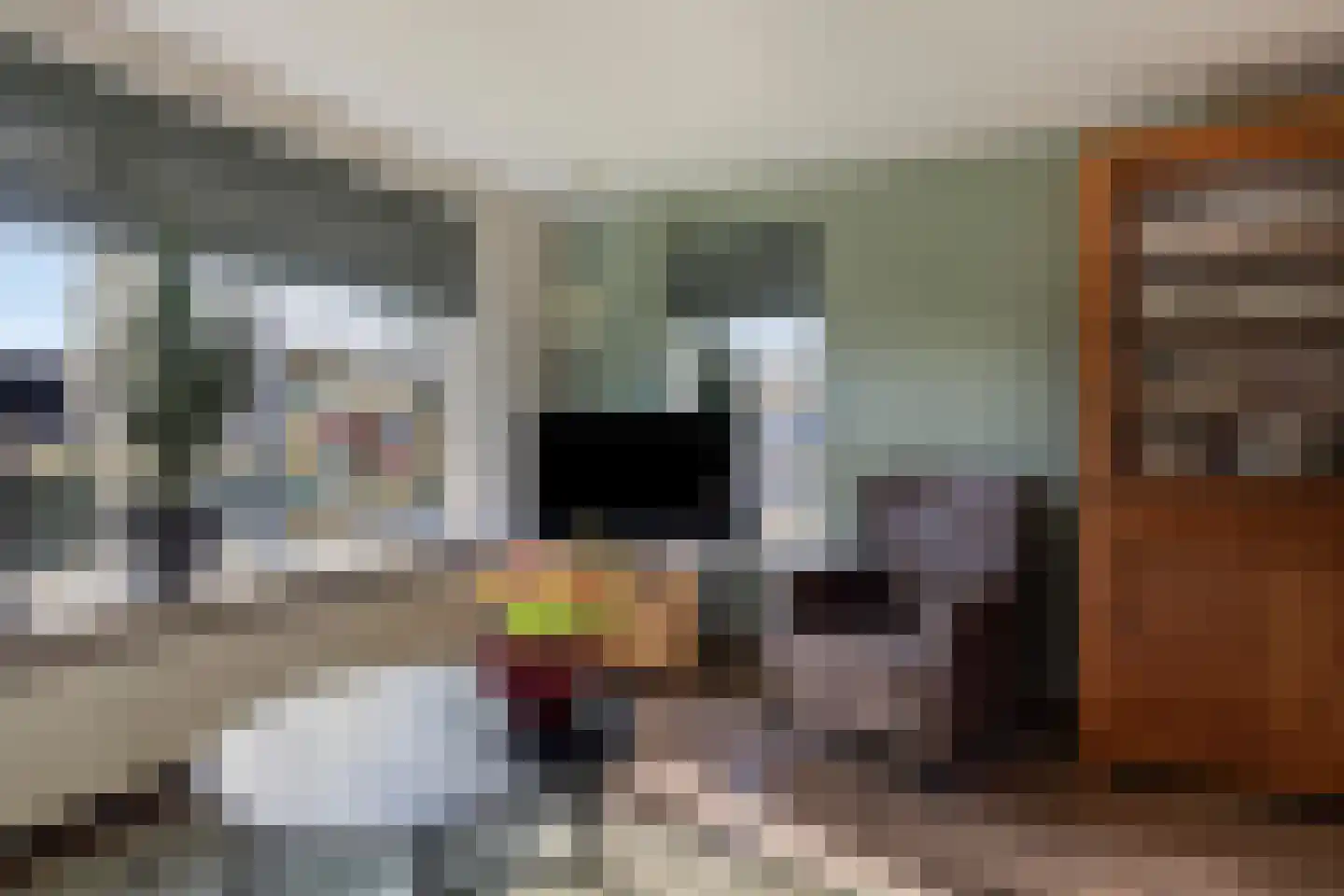 Verlengde van Echtenskanaal NZ 68 Zwartemeer thumbnail 6