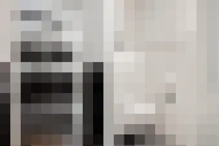 Verlengde van Echtenskanaal NZ 98 Zwartemeer thumbnail 10