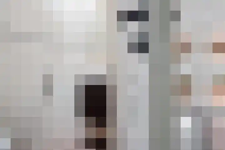 Verlengde van Echtenskanaal NZ 98 Zwartemeer thumbnail 11