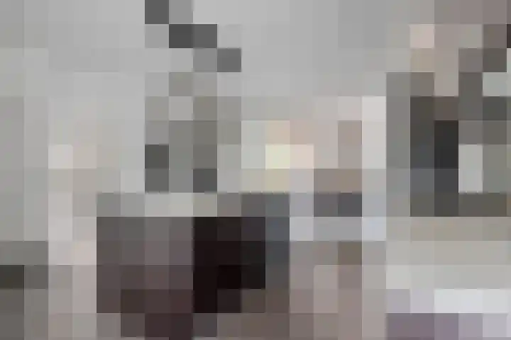 Verlengde van Echtenskanaal NZ 98 Zwartemeer thumbnail 12