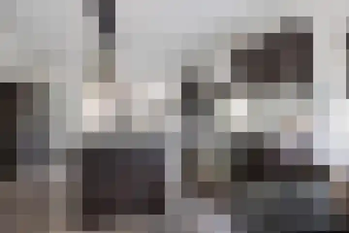 Verlengde van Echtenskanaal NZ 98 Zwartemeer thumbnail 13
