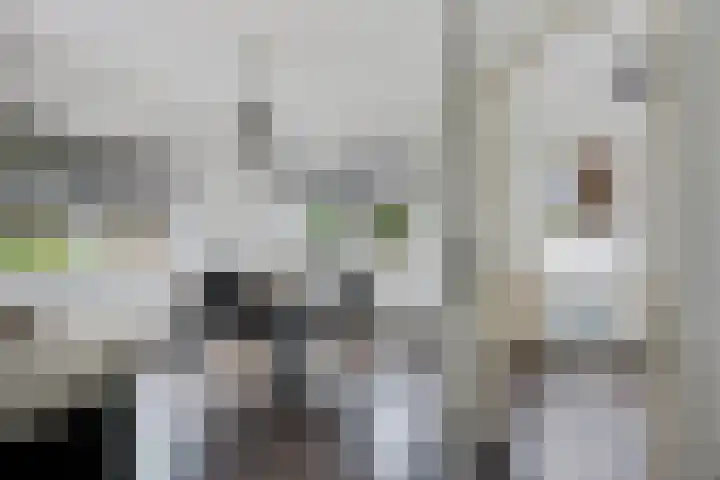 Verlengde van Echtenskanaal NZ 98 Zwartemeer thumbnail 14