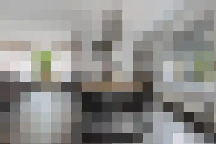 Verlengde van Echtenskanaal NZ 98 Zwartemeer thumbnail 15