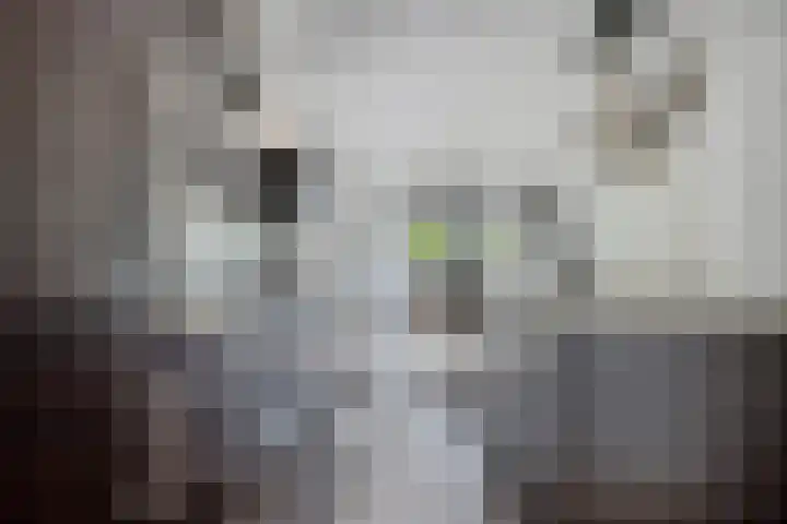 Verlengde van Echtenskanaal NZ 98 Zwartemeer thumbnail 16