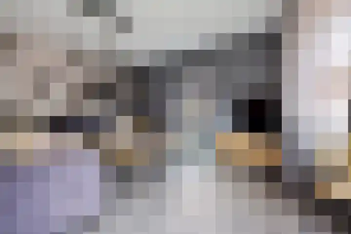 Verlengde van Echtenskanaal NZ 98 Zwartemeer thumbnail 18