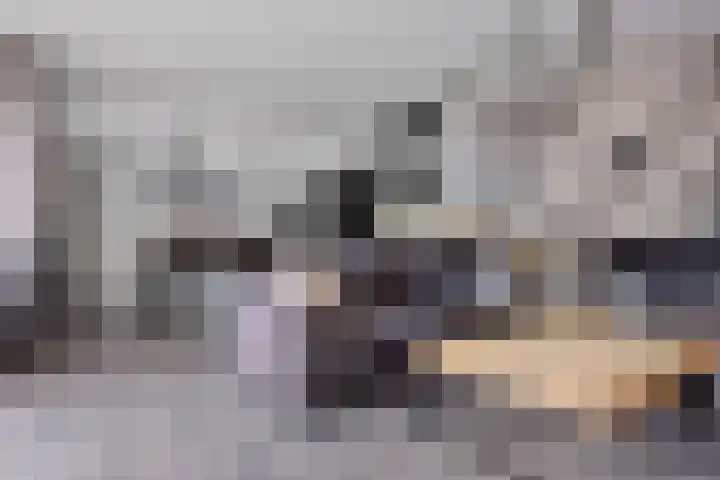 Verlengde van Echtenskanaal NZ 98 Zwartemeer thumbnail 19