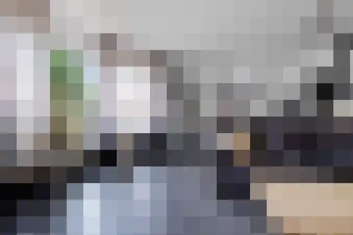 Verlengde van Echtenskanaal NZ 98 Zwartemeer thumbnail 20