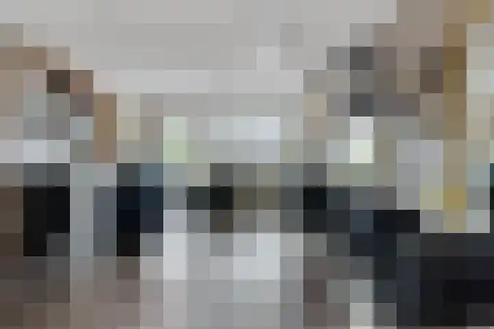 Verlengde van Echtenskanaal NZ 98 Zwartemeer thumbnail 22