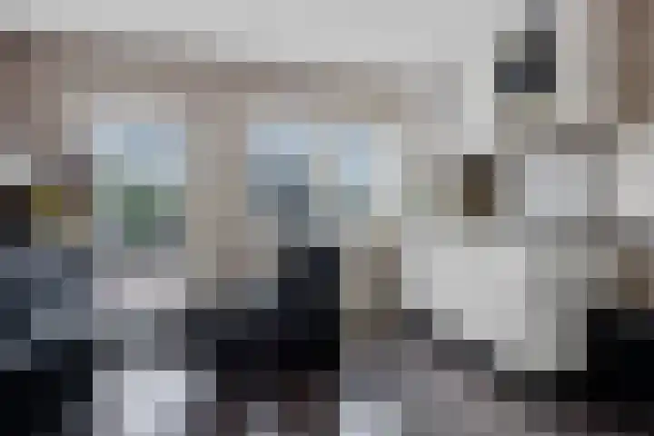Verlengde van Echtenskanaal NZ 98 Zwartemeer thumbnail 24