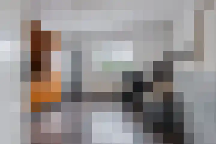 Verlengde van Echtenskanaal NZ 98 Zwartemeer thumbnail 25
