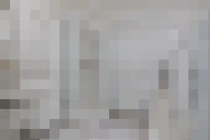 Verlengde van Echtenskanaal NZ 98 Zwartemeer thumbnail 27