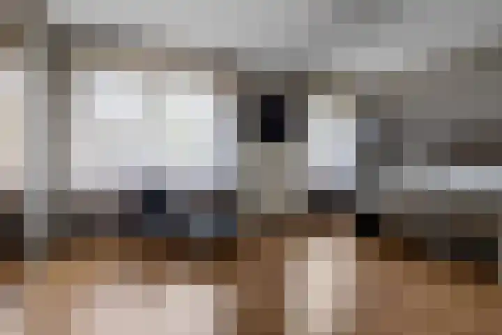 Verlengde van Echtenskanaal NZ 98 Zwartemeer thumbnail 29