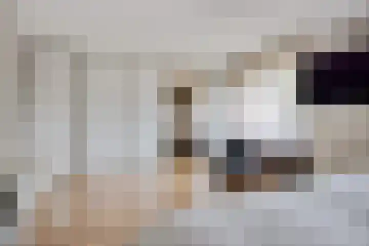 Verlengde van Echtenskanaal NZ 98 Zwartemeer thumbnail 31