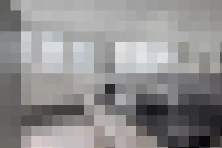 Verlengde van Echtenskanaal NZ 98 Zwartemeer thumbnail 32