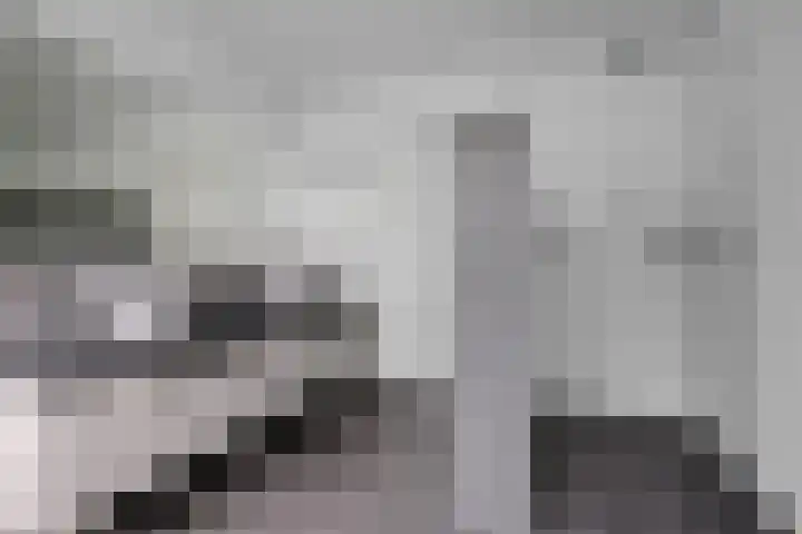 Verlengde van Echtenskanaal NZ 98 Zwartemeer thumbnail 33