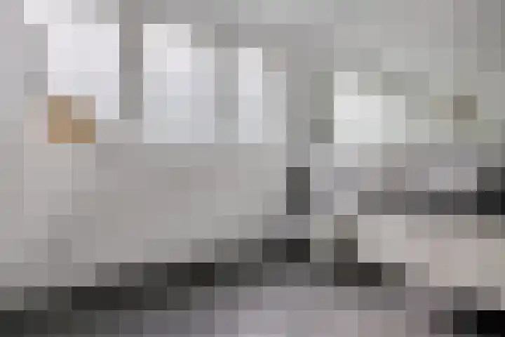 Verlengde van Echtenskanaal NZ 98 Zwartemeer thumbnail 34