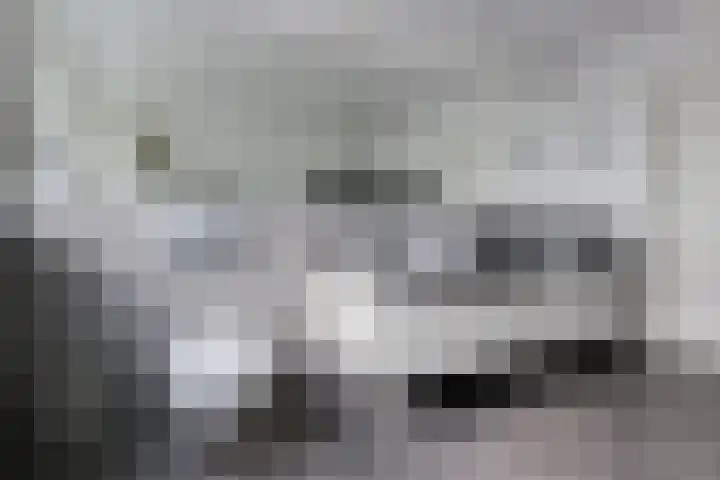 Verlengde van Echtenskanaal NZ 98 Zwartemeer thumbnail 35