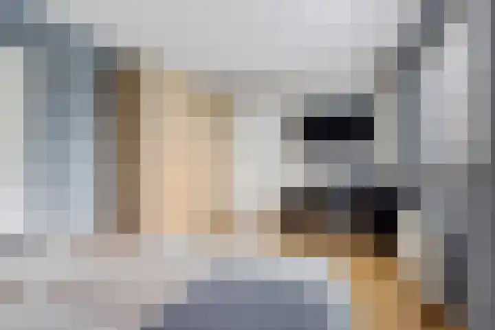 Verlengde van Echtenskanaal NZ 98 Zwartemeer thumbnail 37