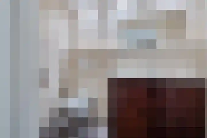 Verlengde van Echtenskanaal NZ 98 Zwartemeer thumbnail 45