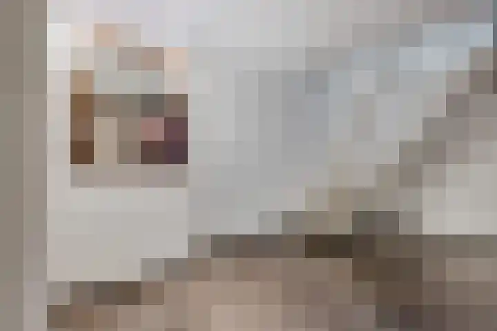 Verlengde van Echtenskanaal NZ 98 Zwartemeer thumbnail 46
