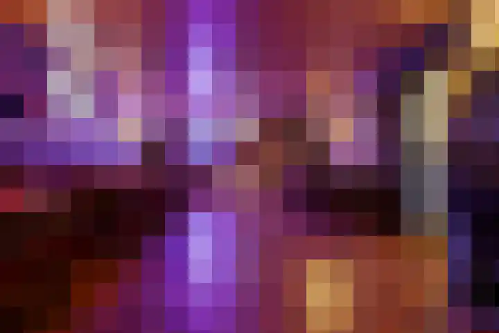 Verlengde van Echtenskanaal NZ 98 Zwartemeer thumbnail 49