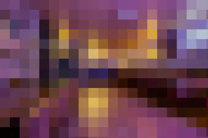 Verlengde van Echtenskanaal NZ 98 Zwartemeer thumbnail 50