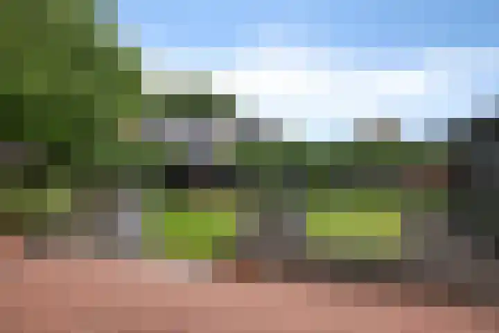 Verlengde van Echtenskanaal NZ 98 Zwartemeer thumbnail 53