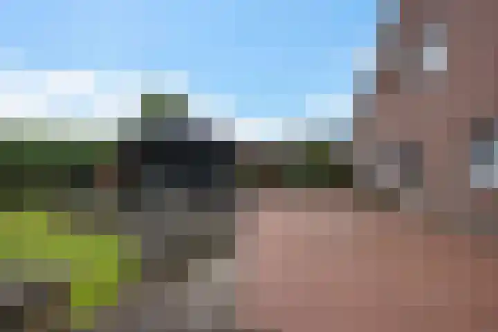 Verlengde van Echtenskanaal NZ 98 Zwartemeer thumbnail 54