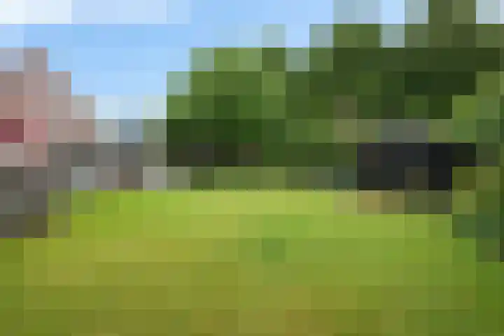 Verlengde van Echtenskanaal NZ 98 Zwartemeer thumbnail 57