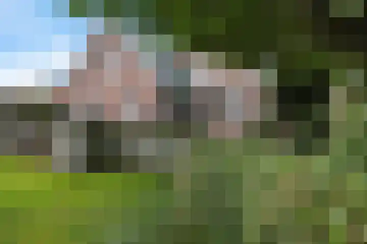 Verlengde van Echtenskanaal NZ 98 Zwartemeer thumbnail 58