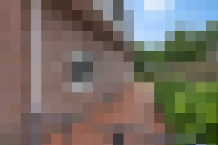 Verlengde van Echtenskanaal NZ 98 Zwartemeer thumbnail 60
