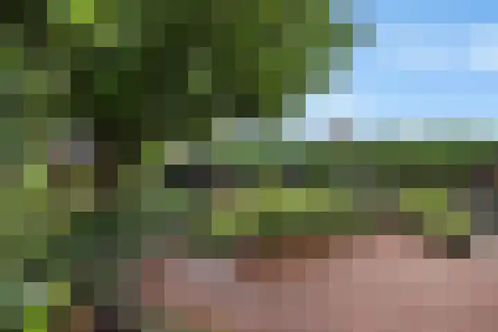 Verlengde van Echtenskanaal NZ 98 Zwartemeer thumbnail 61