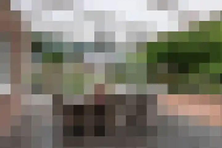 Verlengde van Echtenskanaal NZ 98 Zwartemeer thumbnail 62