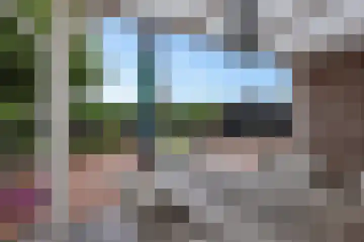 Verlengde van Echtenskanaal NZ 98 Zwartemeer thumbnail 63