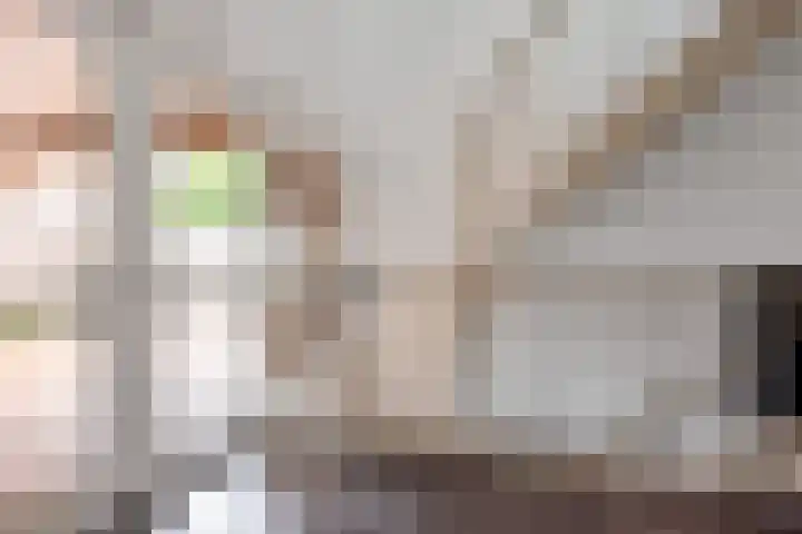Verlengde van Echtenskanaal NZ 98 Zwartemeer thumbnail 7