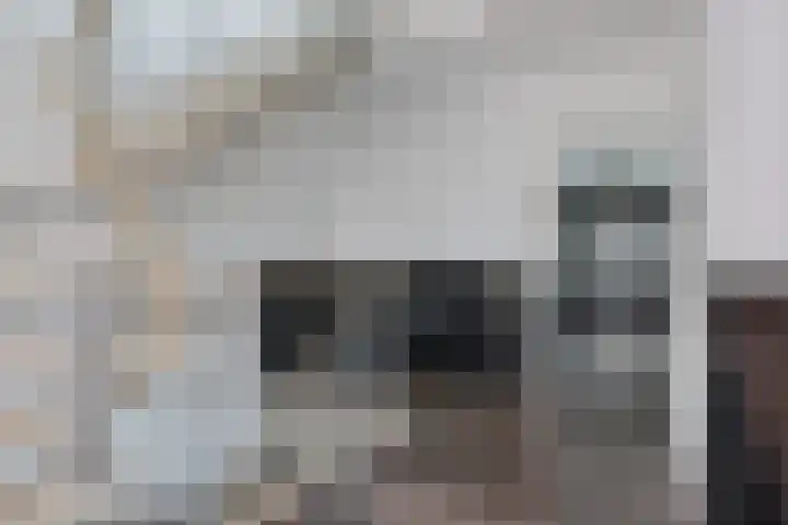 Verlengde van Echtenskanaal NZ 98 Zwartemeer thumbnail 8