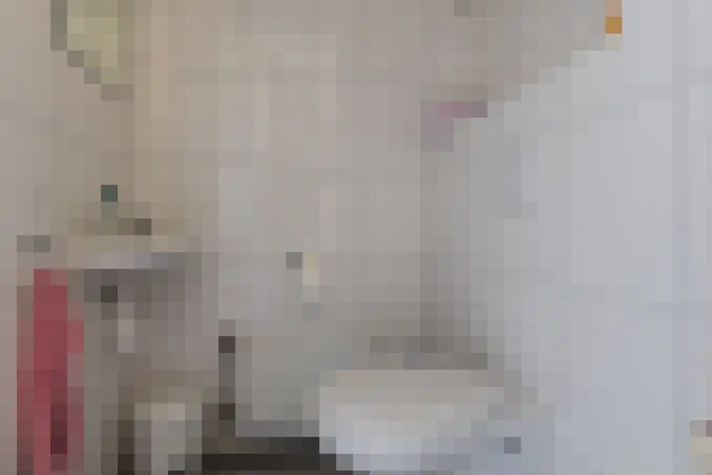 Verlengde Vennen 25 Vlagtwedde thumbnail 16