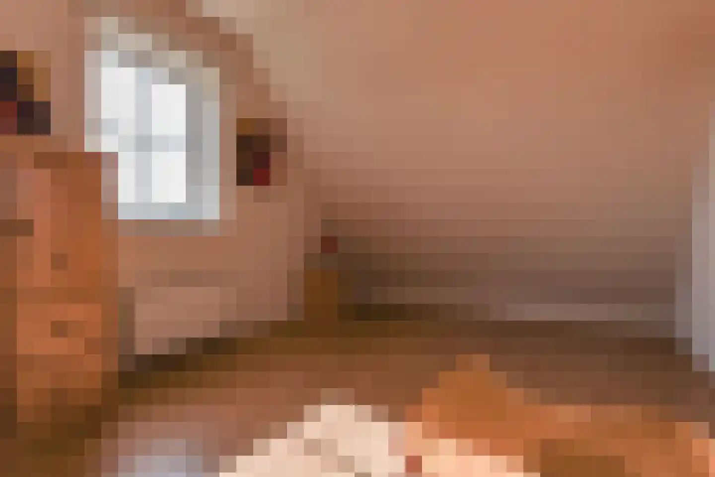 Verlengde Vennen 25 Vlagtwedde thumbnail 25