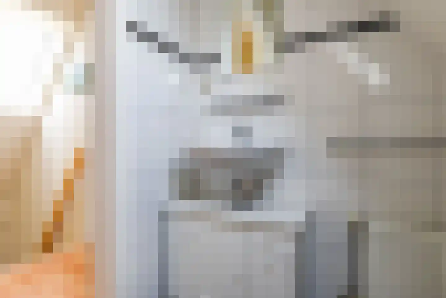 Verlengde Vennen 25 Vlagtwedde thumbnail 28