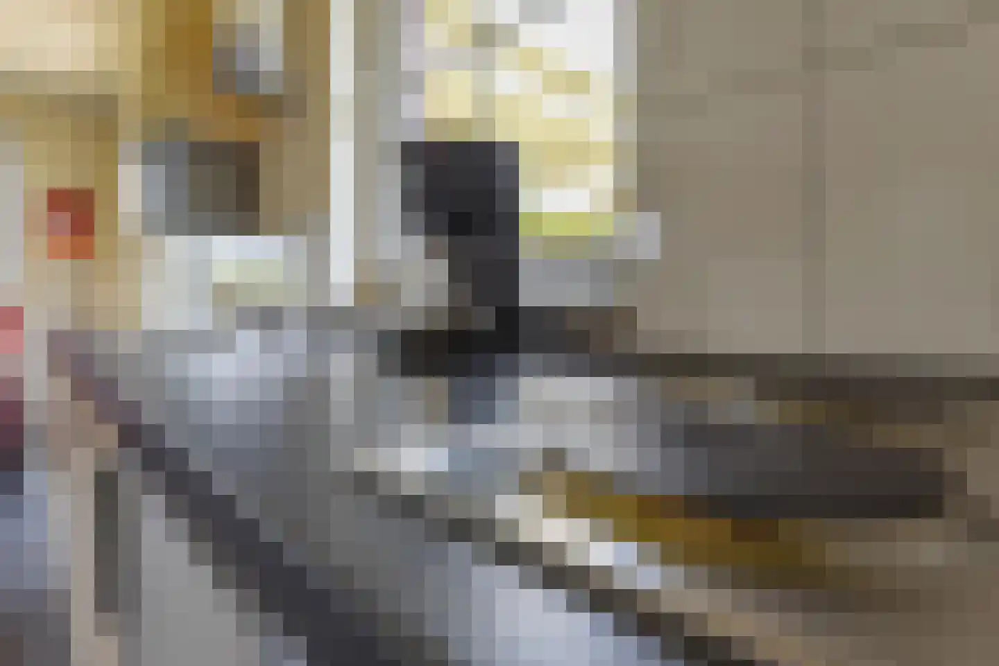 Verlengde Vennen 25 Vlagtwedde thumbnail 9
