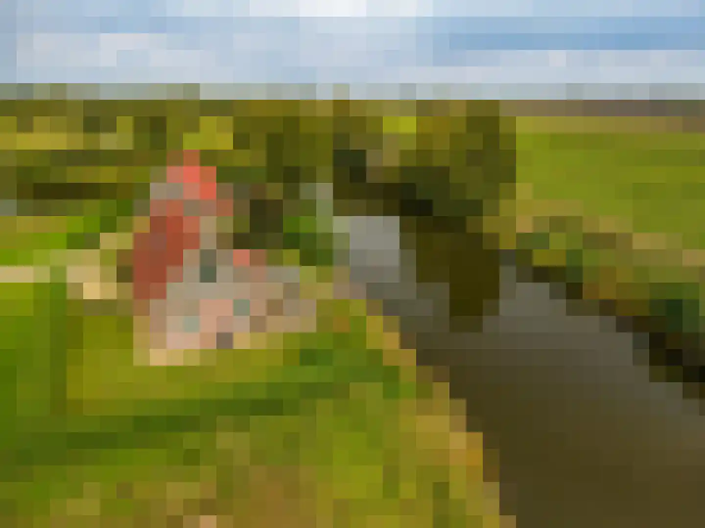 Verlengde Vennen 44 Vlagtwedde thumbnail 11