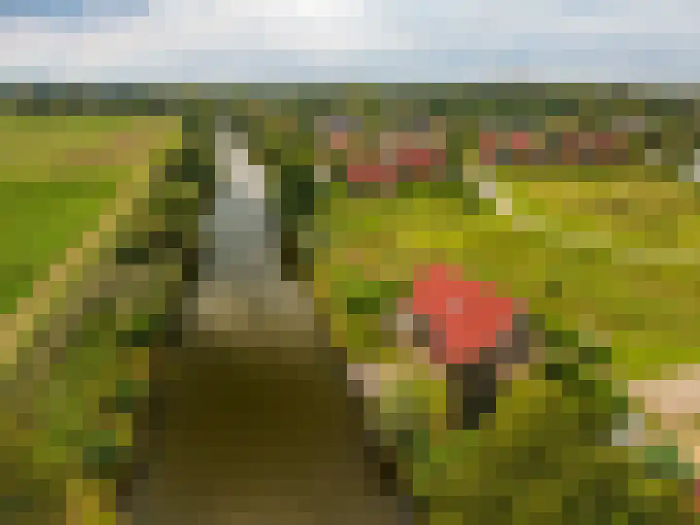 Verlengde Vennen 44 Vlagtwedde thumbnail 13