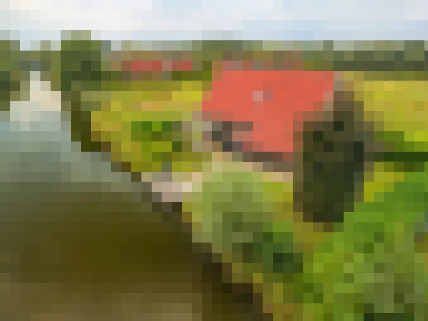 Verlengde Vennen 44 Vlagtwedde thumbnail 14
