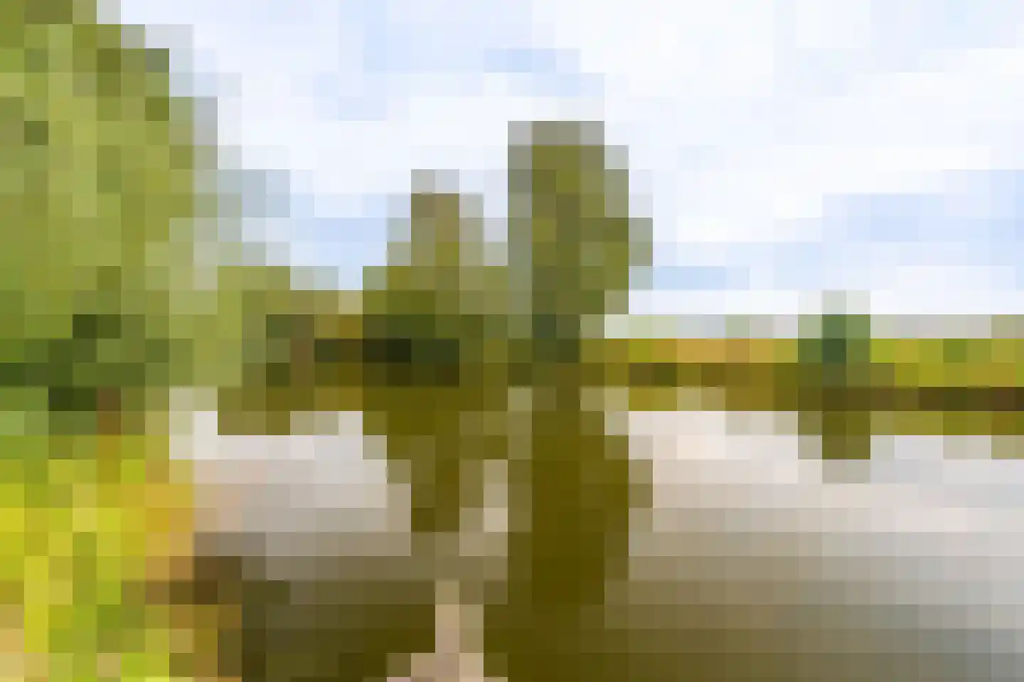 Verlengde Vennen 44 Vlagtwedde thumbnail 17
