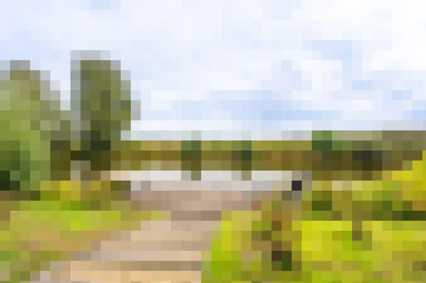 Verlengde Vennen 44 Vlagtwedde thumbnail 20