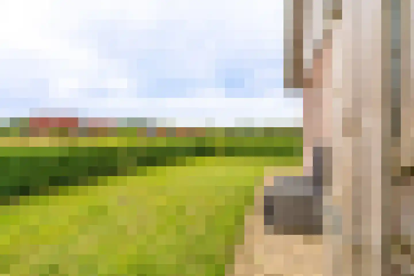 Verlengde Vennen 44 Vlagtwedde thumbnail 23